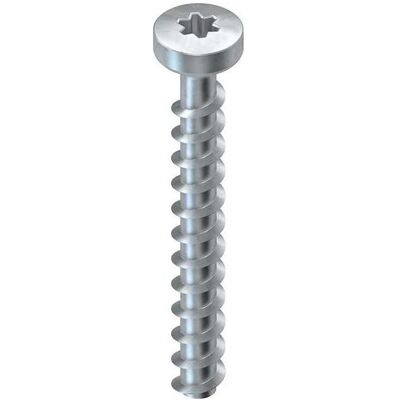 Niedax, Schrauben, Schraubanker (100 Schrauben pro Stück) Niedax, Schrauben, Schraubanker (100 Schrauben pro Stück)