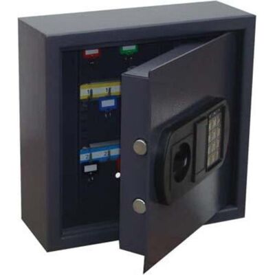 Magni Modell 25 Haken 310x320x120 - Schlüsselschrank Magni Modell 25 Haken 310x320x120 - Schlüsselschrank