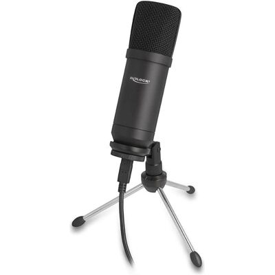 Delock Professionelles Mikrofon, Mikrofon Delock Professionelles Mikrofon, Mikrofon