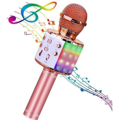 Invento Mikrofon Royal Song Karaoke mikrofonas Royal Song WS-858, Mikrofon Invento Mikrofon Royal Song Karaoke mikrofonas Royal Song WS-858, Mikrofon