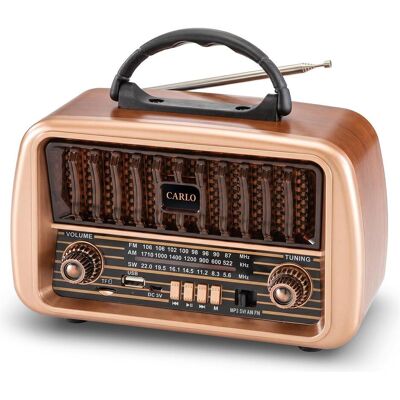 Forever Elektro-FM-Radio CARLO JB-105 BT USB 1200 mAh (AM, FM, Bluetooth), Radio Forever Elektro-FM-Radio CARLO JB-105 BT USB 1200 mAh (AM, FM, Bluetooth), Radio