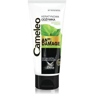 Delia Cosmetics, Conditioner, Cameleo - Anti Damage Express express keratin conditioner for damaged hair 200ml (200 ml) Delia Cosmetics, Conditioner, Cameleo - Anti Damage Express express keratin conditioner for damaged hair 200ml (200 ml)