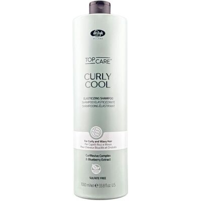 Lisap, Shampoo, Top Care Curly Cool Elasticizing Shampoo 250ml (Flüssiges Shampoo, 250 ml) Lisap, Shampoo, Top Care Curly Cool Elasticizing Shampoo 250ml (Flüssiges Shampoo, 250 ml)