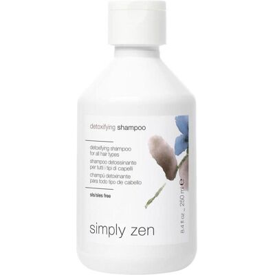 Simply Zen Detoxifying Shampoo - Haarpflege Simply Zen Detoxifying Shampoo - Haarpflege