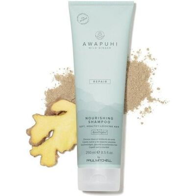 Paul Mitchell Awapuhi Wild Ginger Nährendes Shampoo - Haarpflege Paul Mitchell Awapuhi Wild Ginger Nährendes Shampoo - Haarpflege
