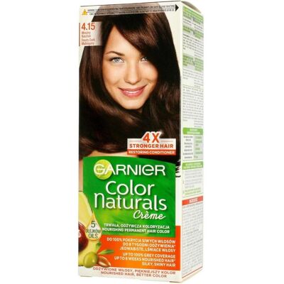 Garnier, Haarfarbe, Color Naturals Hair Dye 4.15 Frosty Chestnut (Braun) Garnier, Haarfarbe, Color Naturals Hair Dye 4.15 Frosty Chestnut (Braun)