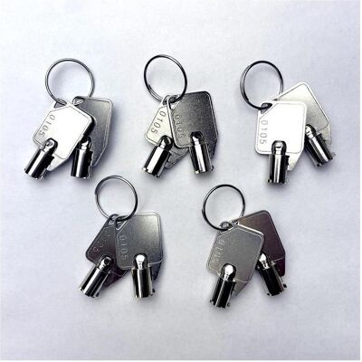 QNAP Key for SP-TS-TRAY-BLACK SP-TS-TRAY-GOLD SP-TS-TRAY-SILVER 10pcs, NAS Zubehör QNAP Key for SP-TS-TRAY-BLACK SP-TS-TRAY-GOLD SP-TS-TRAY-SILVER 10pcs, NAS Zubehör