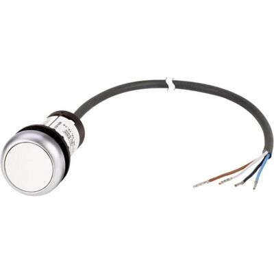 Eaton C22-D-W-K10-P62 Weiß Flacher Drucktaster - Taster + Schalter Eaton C22-D-W-K10-P62 Weiß Flacher Drucktaster - Taster + Schalter