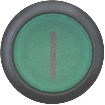 Eaton Leuchtdrucktaste, RMQ-Titan, flach, 216960, Schalter + Taster, Schwarz, Grün Eaton Leuchtdrucktaste, RMQ-Titan, flach, 216960, Schalter + Taster, Schwarz, Grün
