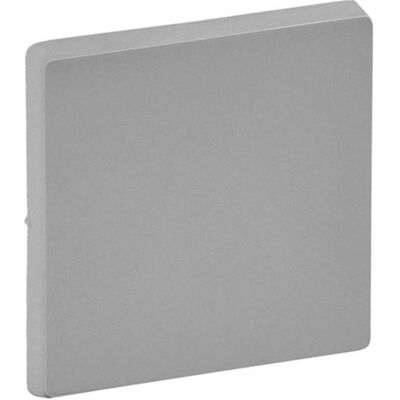 Legrand Wippe, Schalter + Taster, Silber Legrand Wippe, Schalter + Taster, Silber