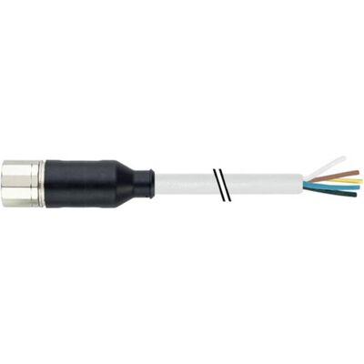 Murr Elektronik M23 Bu 7000-23251-39810000° 19p PUR gr 10m - Kabel - 10 m, Elektronikkabel + Stecker, Grau Murr Elektronik M23 Bu 7000-23251-39810000° 19p PUR gr 10m - Kabel - 10 m, Elektronikkabel + Stecker, Grau