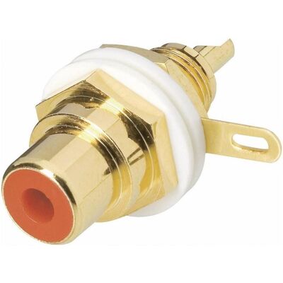 BKL Electronic Cinch-Einbaubuchse vergoldet, Elektronikkabel + Stecker, Rot BKL Electronic Cinch-Einbaubuchse vergoldet, Elektronikkabel + Stecker, Rot