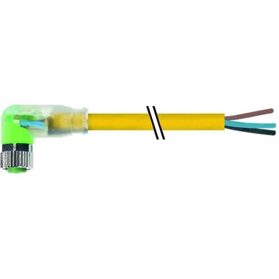 Murr Elektronik Buchse, Elektronikkabel + Stecker, Transparent Murr Elektronik Buchse, Elektronikkabel + Stecker, Transparent
