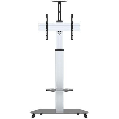 Celexon Rollwagen Adjust-3270MP (70 kg, 32" - 70"), TV Ständer, Silber Celexon Rollwagen Adjust-3270MP (70 kg, 32" - 70"), TV Ständer, Silber