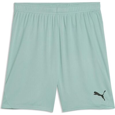 Puma Herren, Sporthose, teamGOAL Shorts (3XL), Grün Puma Herren, Sporthose, teamGOAL Shorts (3XL), Grün