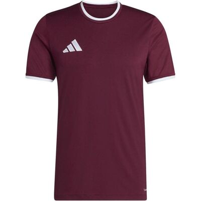 Adidas Herren, Sportshirt, Koszulka męska Entrada 26 Jersey bordowa JZ2507 M (M), Rot, M Adidas Herren, Sportshirt, Koszulka męska Entrada 26 Jersey bordowa JZ2507 M (M), Rot, M