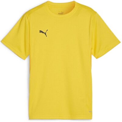 Puma Jungen Sportshirt teamGOAL Jersey Jr - Sportshirt Puma Jungen Sportshirt teamGOAL Jersey Jr - Sportshirt