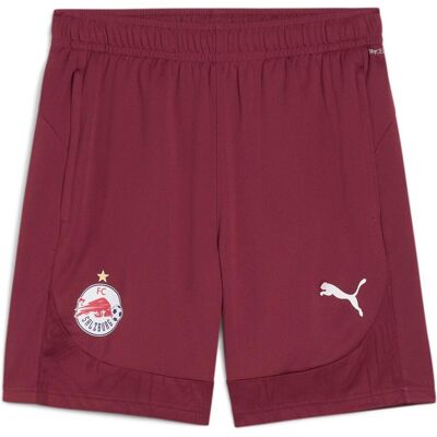 Puma Herren, Sporthose, RBS Training Shorts (L), Rot Puma Herren, Sporthose, RBS Training Shorts (L), Rot