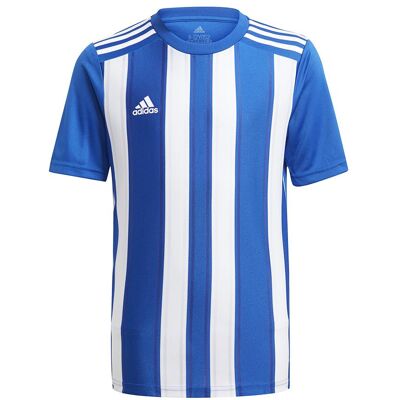 Adidas Jungen, Sportshirt, Striped 21 Trikot Kinder (164), Blau, Weiss, 164 Adidas Jungen, Sportshirt, Striped 21 Trikot Kinder (164), Blau, Weiss, 164