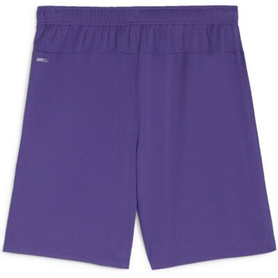 Puma Herren, Sporthose, teamGOAL Shorts (XL), Violett Puma Herren, Sporthose, teamGOAL Shorts (XL), Violett