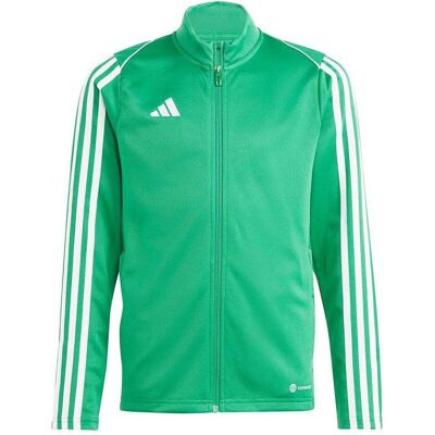 Adidas Unisex, Trainingsjacken, Tiro 23 League Training grünes Trikot IC7872 für Kinder (128cm) (128), Grün, 128 Adidas Unisex, Trainingsjacken, Tiro 23 League Training grünes Trikot IC7872 für Kinder (128cm) (128), Grün, 128