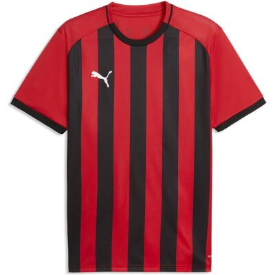Puma Herren, Sportshirt, teamLIGA26 Striped Jersey (XL), Schwarz, Rot, XL Puma Herren, Sportshirt, teamLIGA26 Striped Jersey (XL), Schwarz, Rot, XL