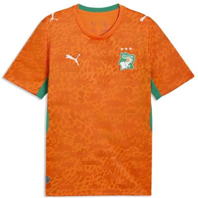 Puma Herren, Fussballtrikot, FIF Home Jersey Replica (M), Grün, Orange, M Puma Herren, Fussballtrikot, FIF Home Jersey Replica (M), Grün, Orange, M