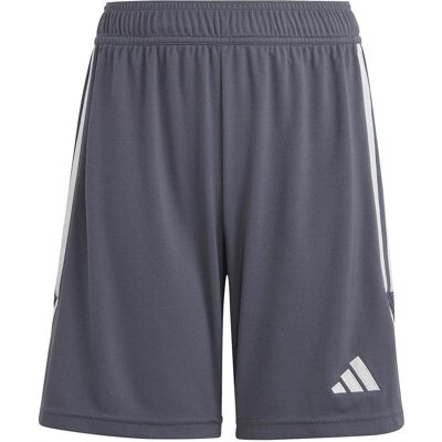 Adidas Jungen, Sporthose, Kinder Shorts Tiro 23 League grau IB8102 (140cm) (140), Grau Adidas Jungen, Sporthose, Kinder Shorts Tiro 23 League grau IB8102 (140cm) (140), Grau