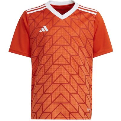 Adidas Jungen, Sportshirt, Team Icon 23 Trikot (176), Orange, 176 Adidas Jungen, Sportshirt, Team Icon 23 Trikot (176), Orange, 176