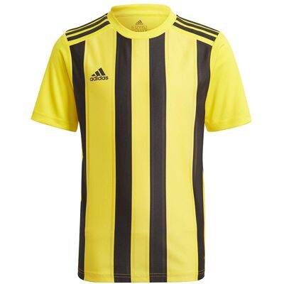 Adidas Jungen, Sportshirt, Striped 21 Trikot Kinder (128), Gelb, 128 Adidas Jungen, Sportshirt, Striped 21 Trikot Kinder (128), Gelb, 128