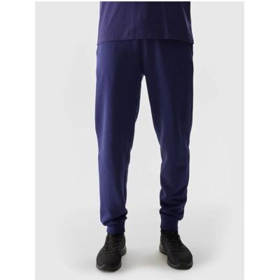 4F, Herren, Sporthose, Spodnie męskie M603 granatowe 4FWSS24TTROM603 31S M (M), Violett 4F, Herren, Sporthose, Spodnie męskie M603 granatowe 4FWSS24TTROM603 31S M (M), Violett
