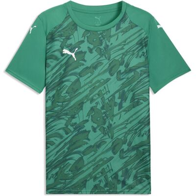 Puma Herren, Sportshirt, teamFINAL Graphic Jersey (L), Grün, L Puma Herren, Sportshirt, teamFINAL Graphic Jersey (L), Grün, L
