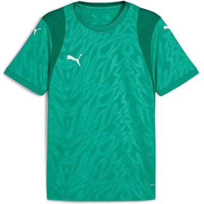 Puma Herren, Sportshirt, teamCUP Jersey (M), Grün, M Puma Herren, Sportshirt, teamCUP Jersey (M), Grün, M