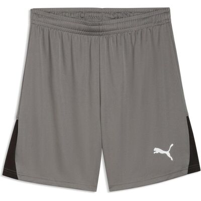 Puma Herren, Sporthose, teamLIGA26 Shorts (XL), Grau Puma Herren, Sporthose, teamLIGA26 Shorts (XL), Grau