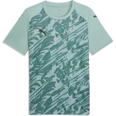 Puma Herren, Sportshirt, teamFINAL Graphic Jersey (3XL), Grün, 3XL Puma Herren, Sportshirt, teamFINAL Graphic Jersey (3XL), Grün, 3XL