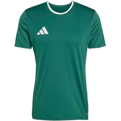Adidas Herren, Sportshirt, Ent26 Jsy - drkgrn/white (M), Grün, M Adidas Herren, Sportshirt, Ent26 Jsy - drkgrn/white (M), Grün, M