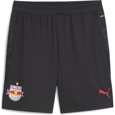 Puma Herren, Sporthose, RBS Training Shorts w/ pockets (L), Grau Puma Herren, Sporthose, RBS Training Shorts w/ pockets (L), Grau
