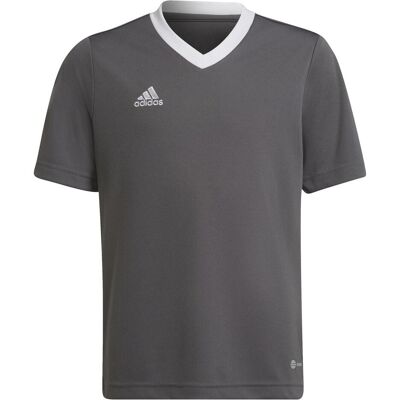 Adidas Mädchen, Sportshirt, Entrada 22 Trikot (140), Grau, 140 Adidas Mädchen, Sportshirt, Entrada 22 Trikot (140), Grau, 140