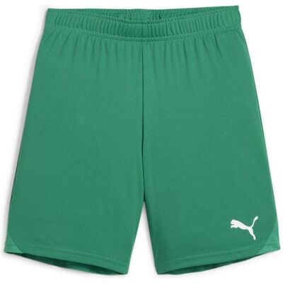 Puma teamGOAL Shorts - Junior - Grün Puma teamGOAL Shorts - Junior - Grün