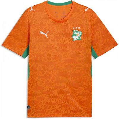 Puma Herren, Fussballtrikot, FIF Home Jersey Replica (L), Orange, Grün, L Puma Herren, Fussballtrikot, FIF Home Jersey Replica (L), Orange, Grün, L