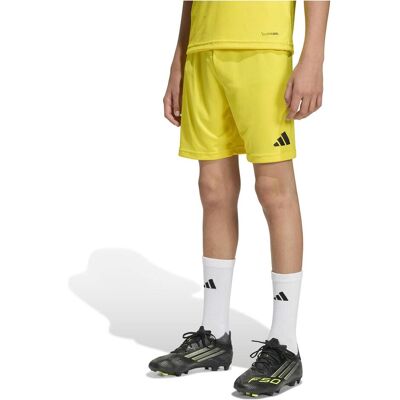Adidas Jungen, Sporthose, Ent26 Sho Y - tmyell/black (164), Schwarz, Gelb Adidas Jungen, Sporthose, Ent26 Sho Y - tmyell/black (164), Schwarz, Gelb