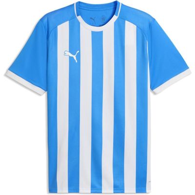 Puma Herren, Sportshirt, teamLIGA26 Striped Jersey (L), Blau, Mehrfarbig, Weiss, L Puma Herren, Sportshirt, teamLIGA26 Striped Jersey (L), Blau, Mehrfarbig, Weiss, L