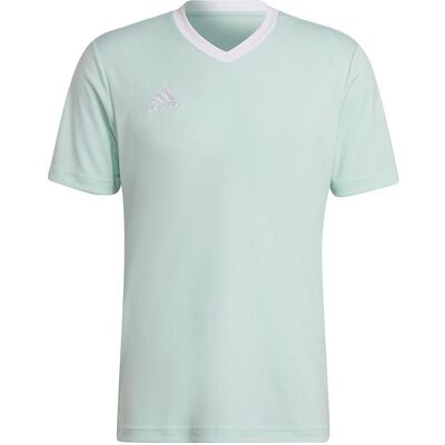 Adidas Herren, Sportshirt, Entrada 22 Fussballtrikot Herren (L), Grün, L Adidas Herren, Sportshirt, Entrada 22 Fussballtrikot Herren (L), Grün, L