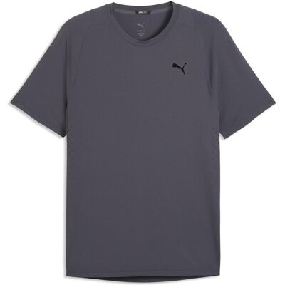 Puma Herren, Sportshirt, M Pwrmode Dryelite Tee (3XL), Grau, 3XL Puma Herren, Sportshirt, M Pwrmode Dryelite Tee (3XL), Grau, 3XL