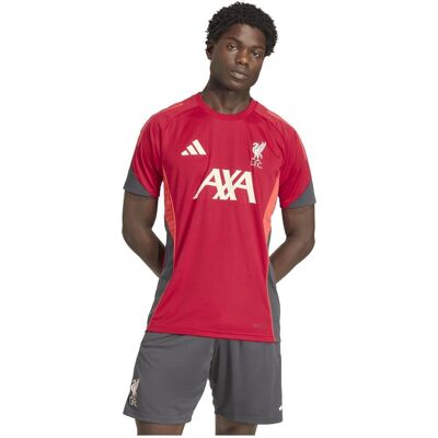 Adidas Herren, Fussballtrikot, Liverpool Trainings-JSY-T-Shirt (M), Rot, Grau, M Adidas Herren, Fussballtrikot, Liverpool Trainings-JSY-T-Shirt (M), Rot, Grau, M