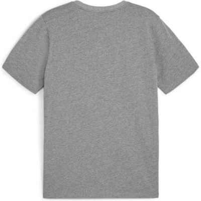 Puma Herren, Sportshirt, teamGOAL Casuals Tee (XL), Grau, XL Puma Herren, Sportshirt, teamGOAL Casuals Tee (XL), Grau, XL
