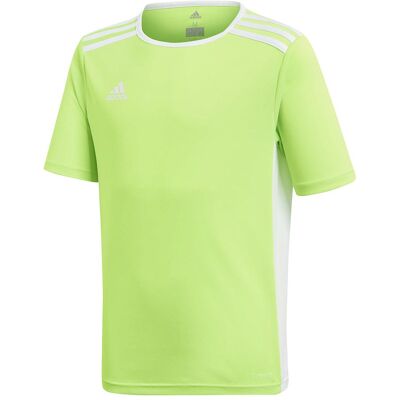 Adidas Jungen, Sportshirt, Entrada 18 Trikot Kinder (116), Grün, 116 Adidas Jungen, Sportshirt, Entrada 18 Trikot Kinder (116), Grün, 116