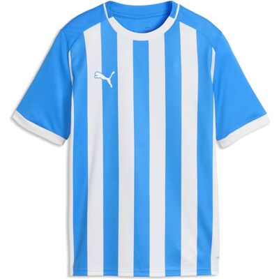 Puma Jungen, Sportshirt, teamLIGA26 Striped Jersey Jr (164), Blau, Weiss, 164 Puma Jungen, Sportshirt, teamLIGA26 Striped Jersey Jr (164), Blau, Weiss, 164