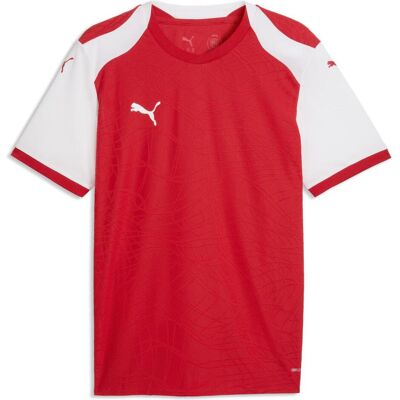 Puma Herren, Sportshirt, teamFINAL26 Knit Jersey (M), Rot, M Puma Herren, Sportshirt, teamFINAL26 Knit Jersey (M), Rot, M