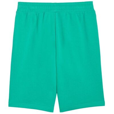 Puma Herren, Sporthose, Short (XL), Grün Puma Herren, Sporthose, Short (XL), Grün